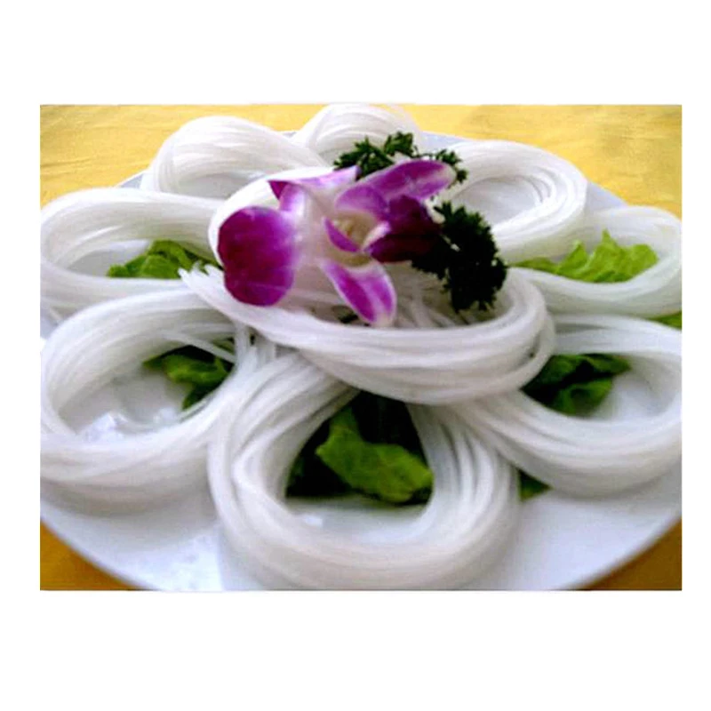 Commercial Noodle Machine/Coarse Grain Noodle Machine/Corn Noodle Machine/Rice Noodle Machine/Rice Flour Machine/Rice Cake Machi