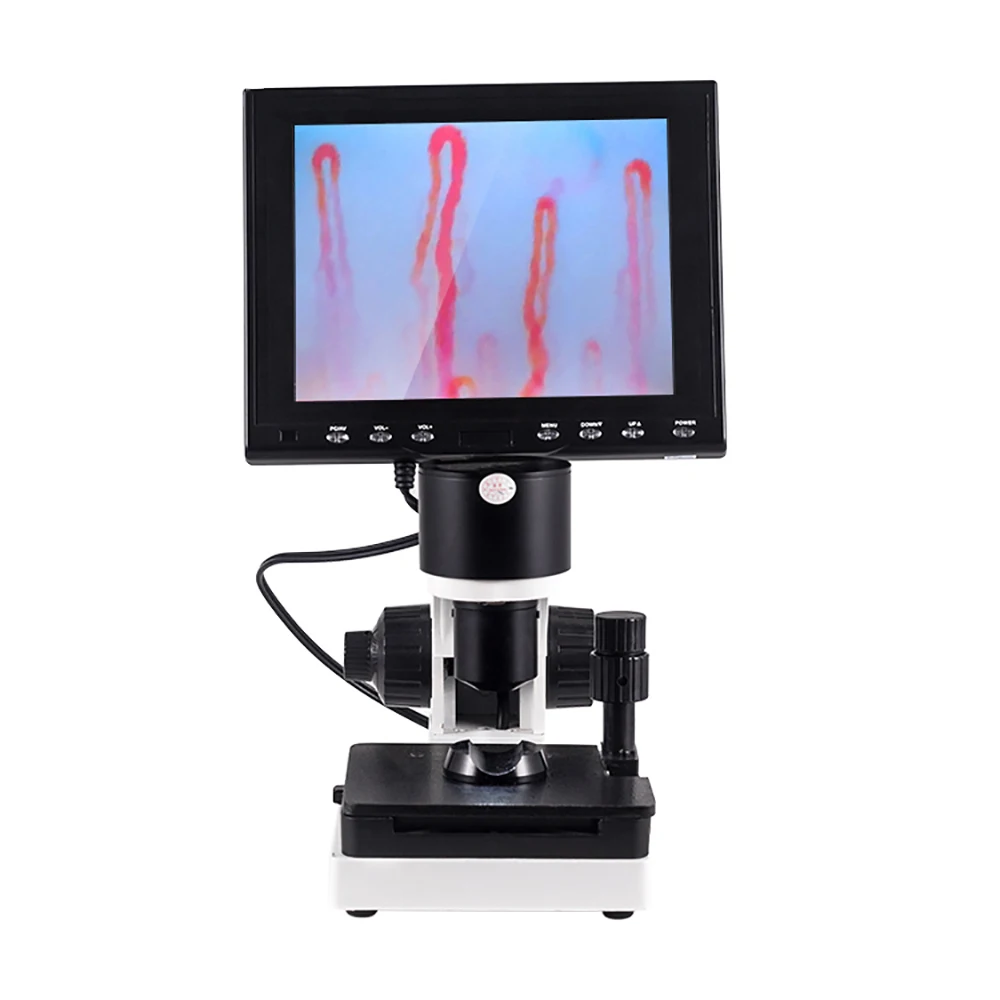 

Digital 12 inch blood microcirculation test machine capillaroscope analyzer