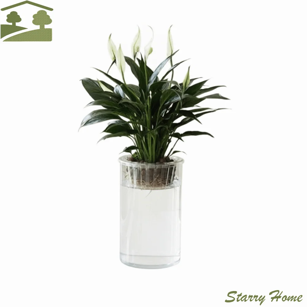 Clear Hydroponic Vase Imitation Glass High Transparent Lazy Flower Pot Decorative Cylindrical Mini Fish Tank
