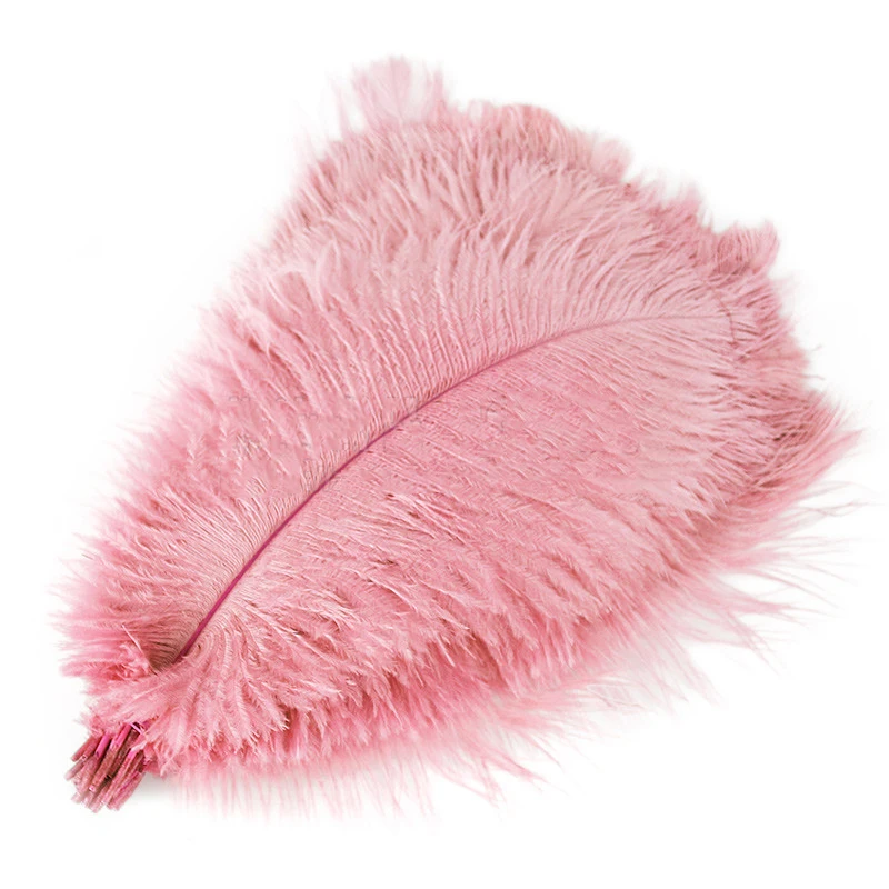 

10Pcs Pink Feather DIY Feather Wall Decoration Feather Light Jewelry Accessories Stage Clothing Material Party Wedding Decor
