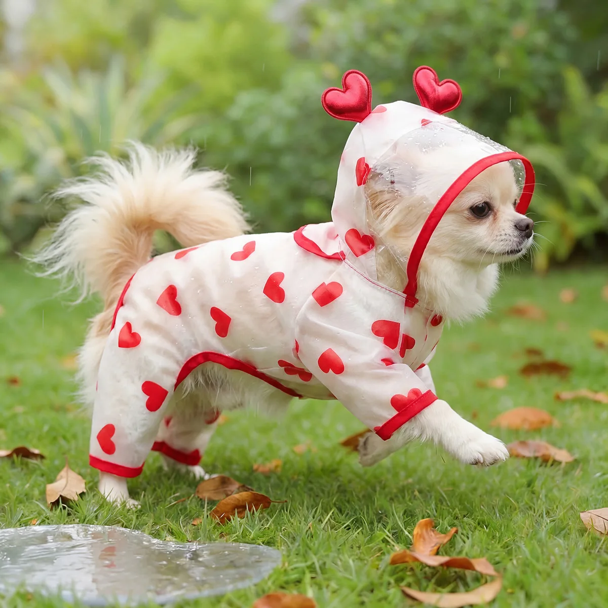 

Home Spring and summer new outdoor dog raincoat transparent waterproof rainbow raincoat Teddy Bichon small and medium-sized dog