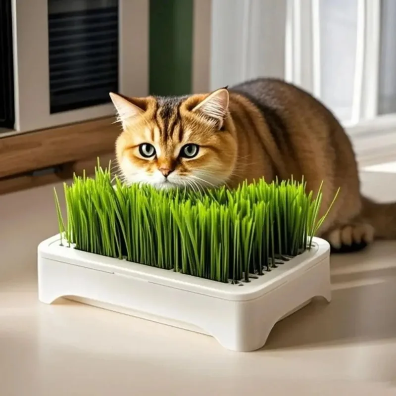 Plastic Hydroponic Seeding Tray Reusable Self-planted Cat Grass Nursery Pot Multi-functional Growth Planter Pet Cat Grass