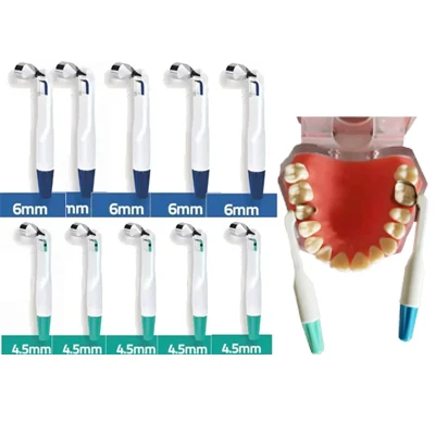 Matrix Dental Banda Matrice Sistema de Anel Ajustável, padrão inoxidável e Curvo, Pré-Formado Crown Materials, 5pcs