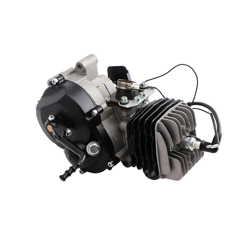 49CC air-cooled engine is suitable for 50CC-300CC 50 SX 50 SX PRO SENIOR dirt pit off-road bike