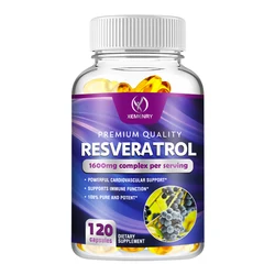 Resveratrol 1600mg - Enhances Energy and Endurance and Has Antioxidant Properties