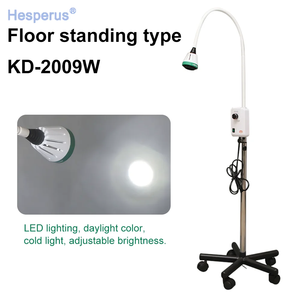 de ntal 9W LED Medical Examination Lamp Surgical Mobile Portable Floor Stand Cold Light Lamp Oral and Gynecological ENT Surgery