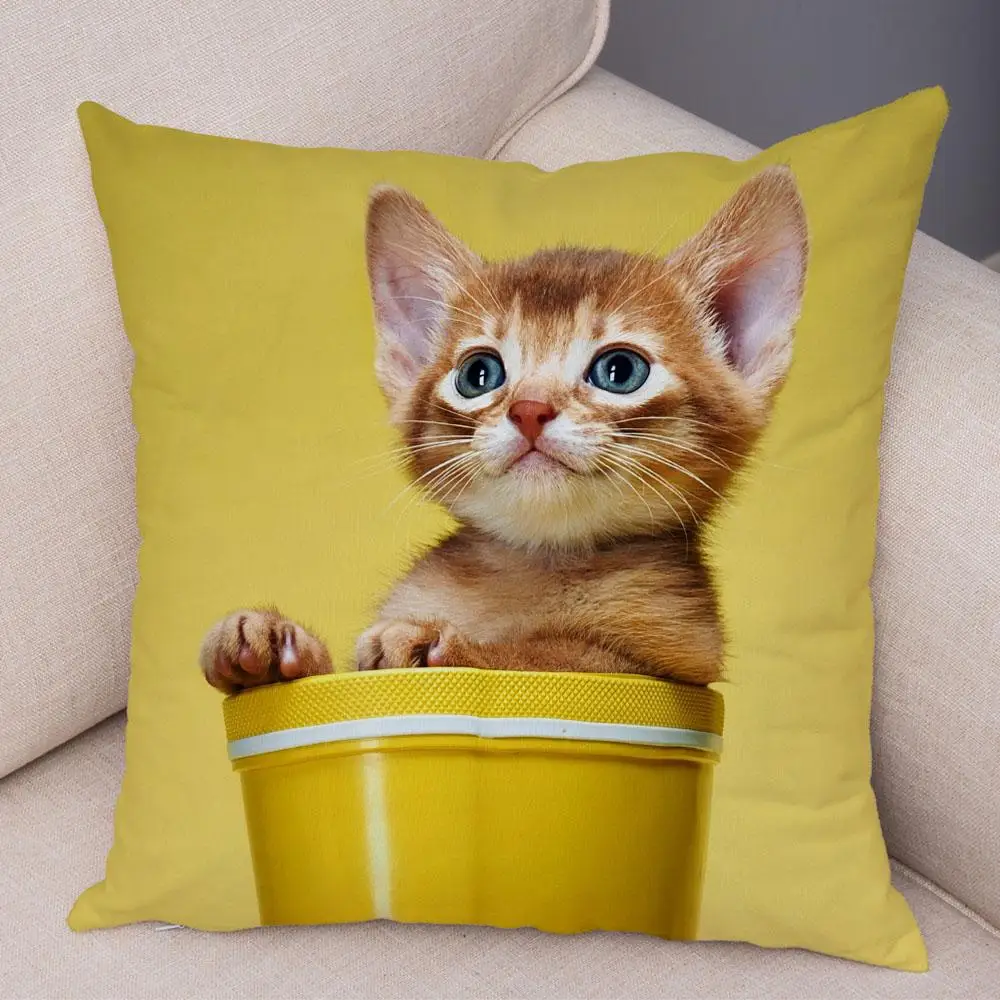 Hilarious Cute Cat Animal Double Sided Pillowcase Fun Decorative Cushion Cover For Kids Room And Home Insert Not Included