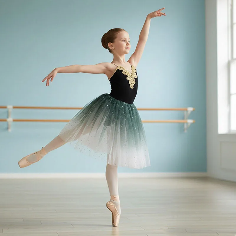 

Professional Romantic Child Ballet Tutu Dress Dance Clothes Swan Lake Ballerina Dress Modern Dance Ballet Dress For Kids Girls