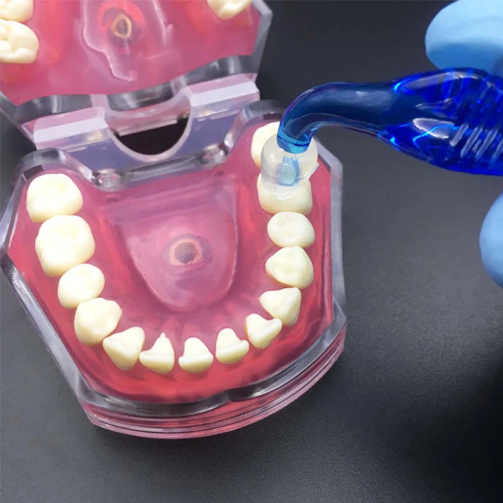 PIORPOY Dental Posterior Teeth Aesthetic Printing Kit 16 Molds Oral Care Orthodontic Filling Restoration Dentist Supplies Tool