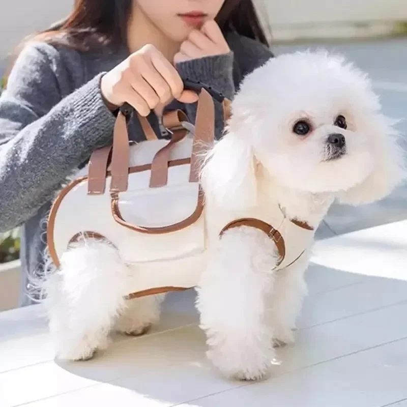 Thumbnail 3 - #47 Trending Puppy Carriers Right Now