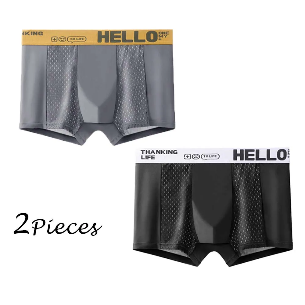 2 Pieces Men Sexy Panties Man Boxers Shorts Underpants Underwear Black Dark Gray 2XL 3XL 4XL 5XL Mesh Ice Silk Sports Breathable