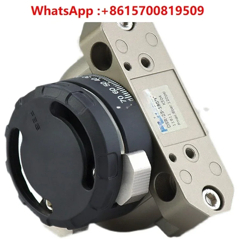 Swing Cylinder Dsr … - image