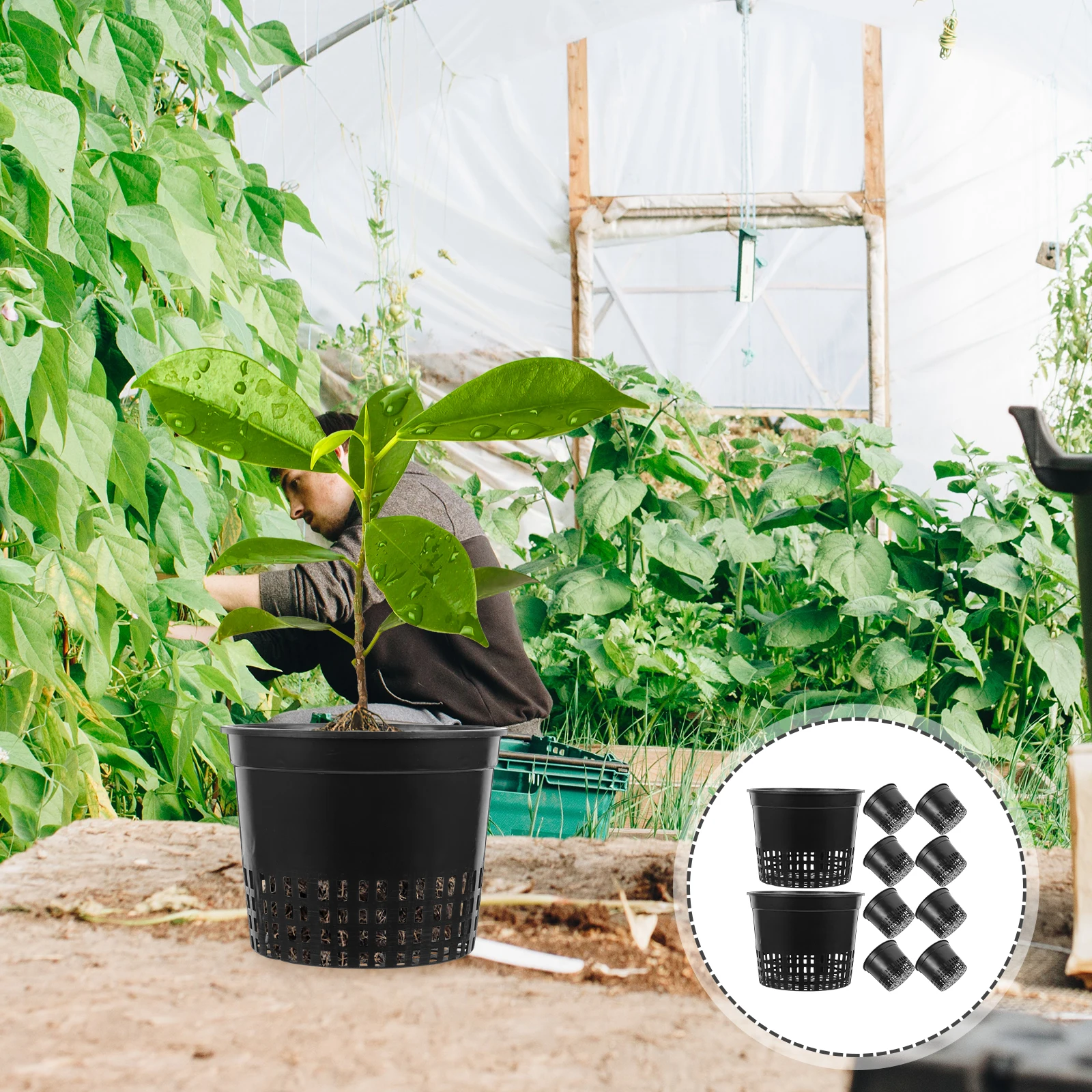 

10pcs Planting Cups Hydroponic Grow Bucket Black Nursery Basket Heavy Duty Many Holes Healthy Roots Bigger Stronger Drainage