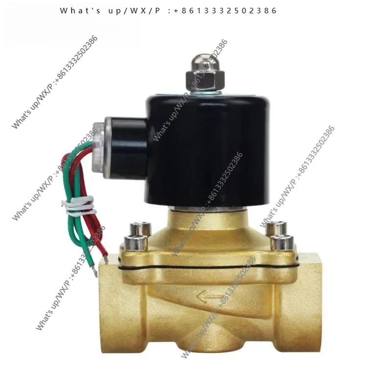 12 V 24 V 220 V 1/2 2 inch 2w electric water brass solenoid valve for air gas magnetism