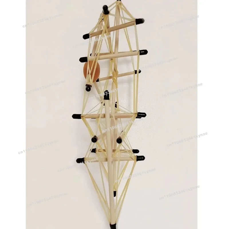 Auxiliary for Teaching of Spinal and Pelvic Fascia
