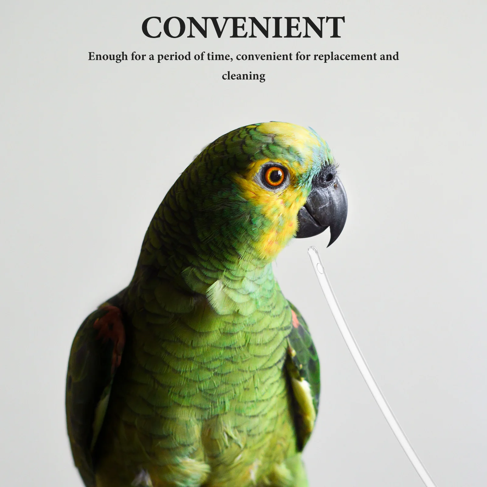 

10Pcs Parrot Soft Feeder Tubes Transparent Hand Feeder Clear Bird Food Medicine Tubes for Breeders Pet Stores Feed Tube