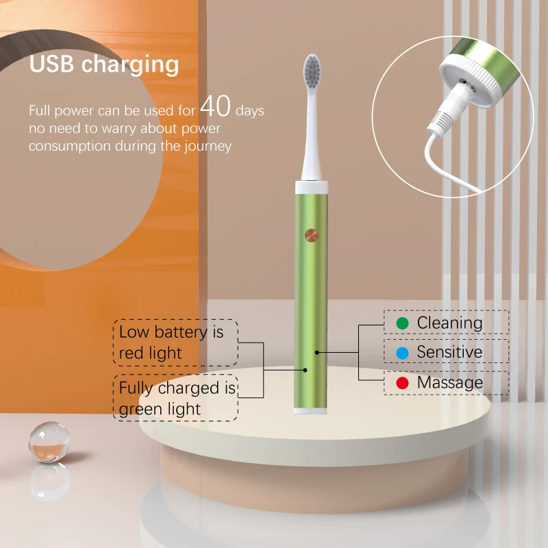 Sonic Elektrische Tandenborstel Smart Tandenborstel Voor Volwassen Timer Borstel Usb Oplaadbare IPX7 Waterdicht Voor Tandenborstels Heads Set