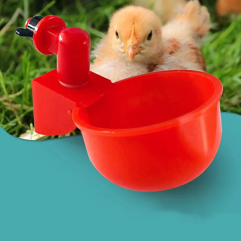 

Automatic Chicken Drinker Quail Hanging Water Cup Nipple Drinking Bowls Feed Birds Water Bowl Drinker Cups for Backyard Poultry