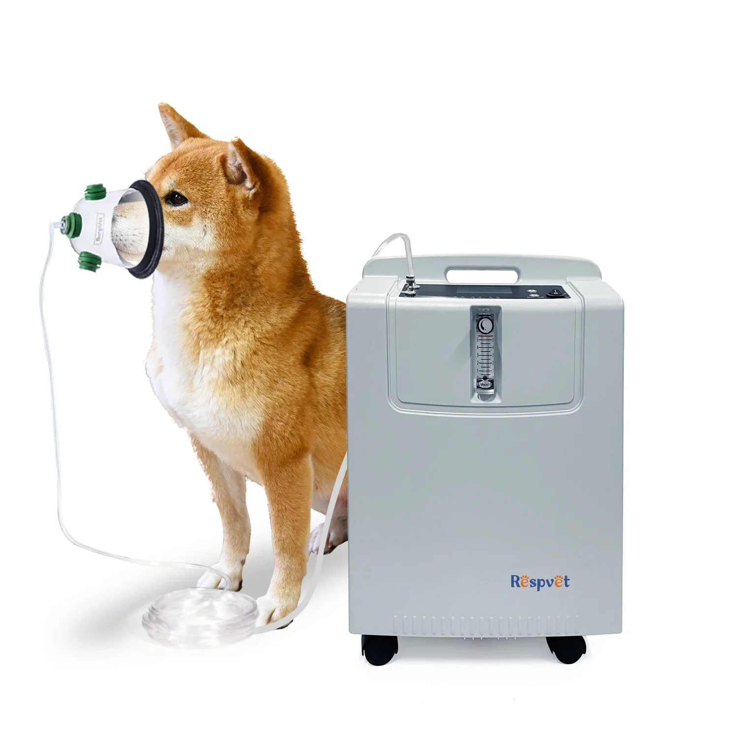 Factory Outlet Animal Hospital Use Medical Machine Veterinary Oxygen Concentrator Suitable for Pet