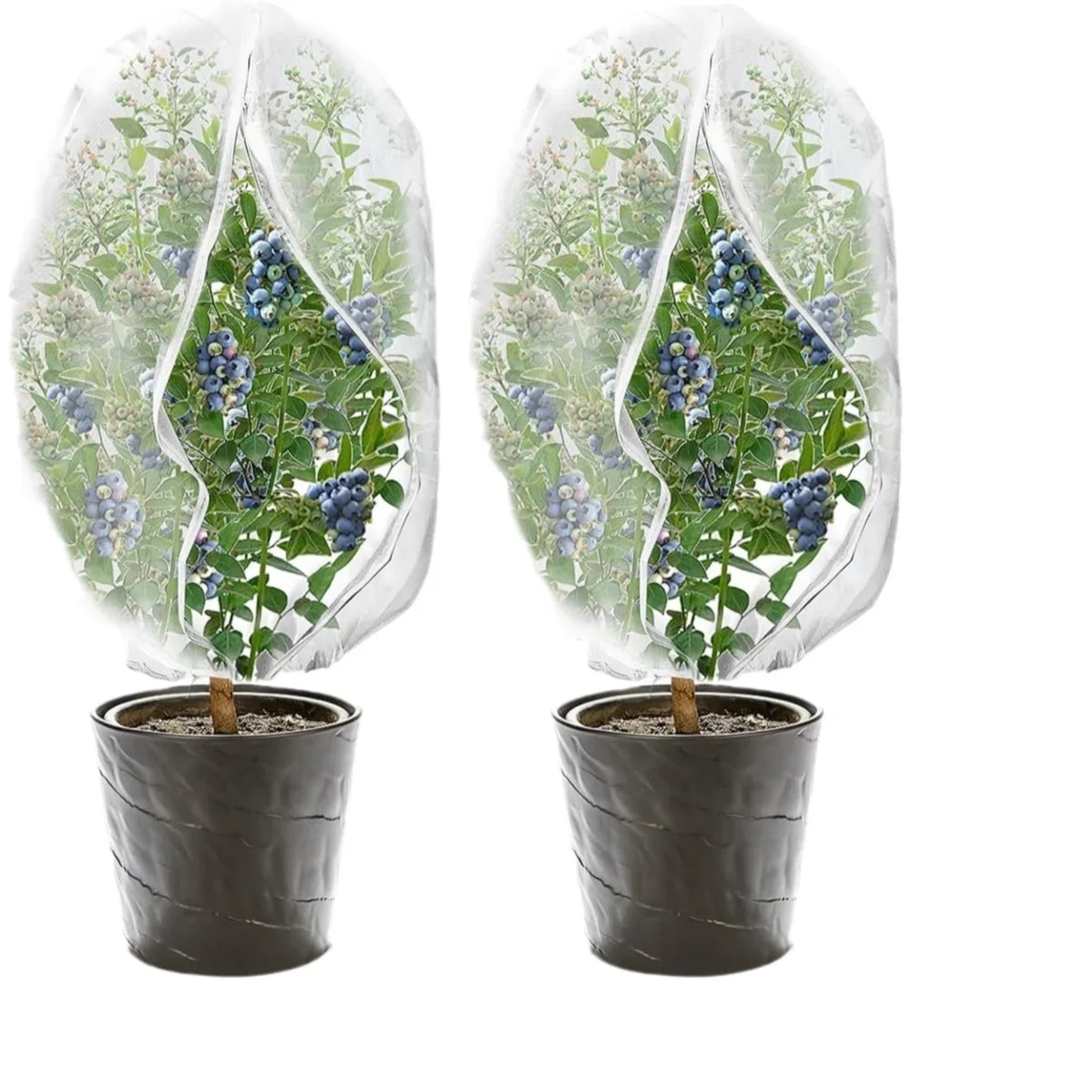 Thickened insect proof mesh bag for independent packaging, garden insect proof mesh cover, plants