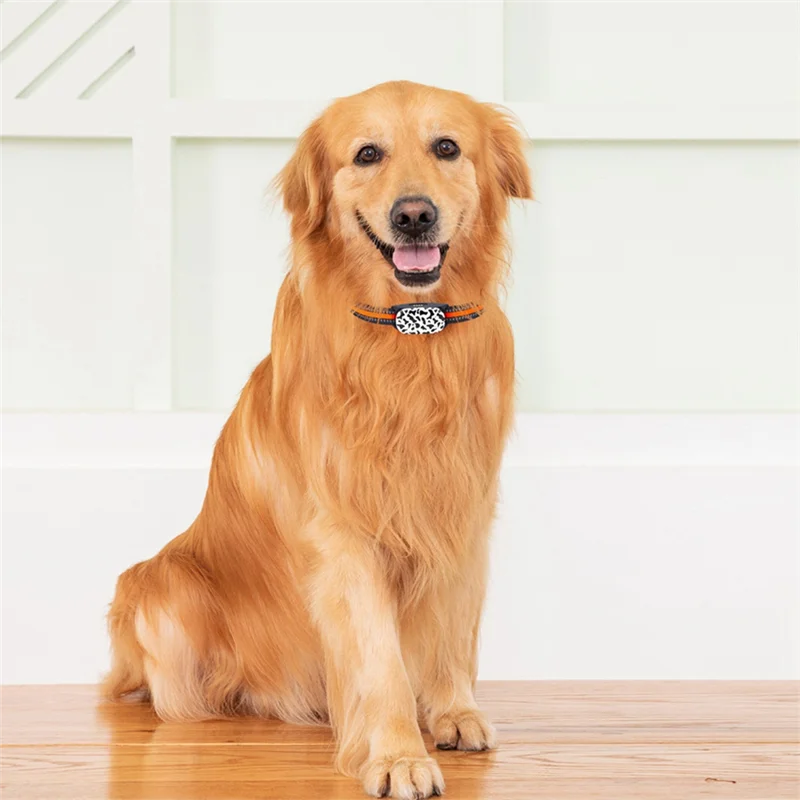 ABIYY-4G Dog Tracking Collar Locator Pet Dog Tracker Gps Locator with Google Map Real Time Tracking for Pets GPS Locator