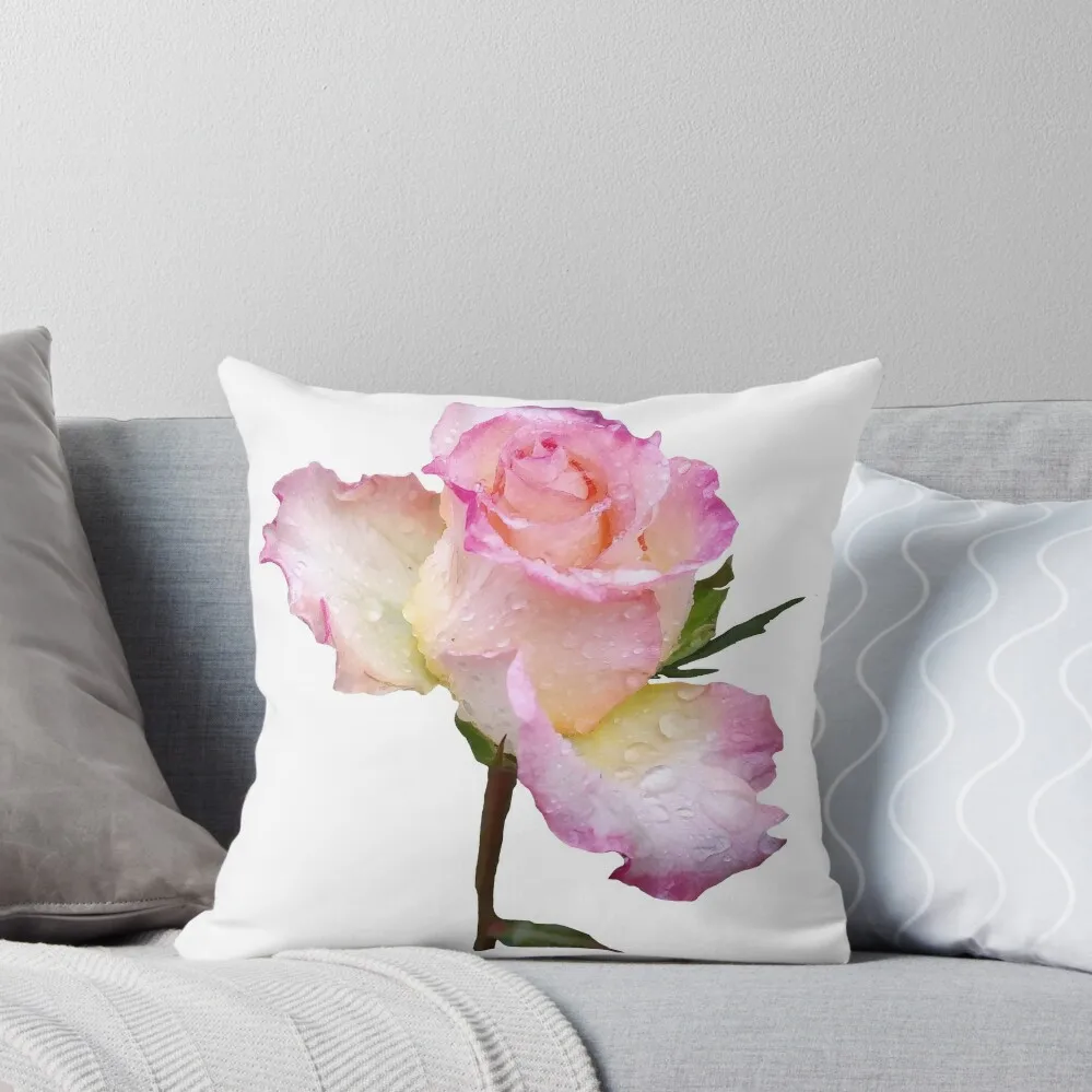 pink rose with the first raindrops of the day Throw Pillow ornamental pillows for living room home decor items pillow