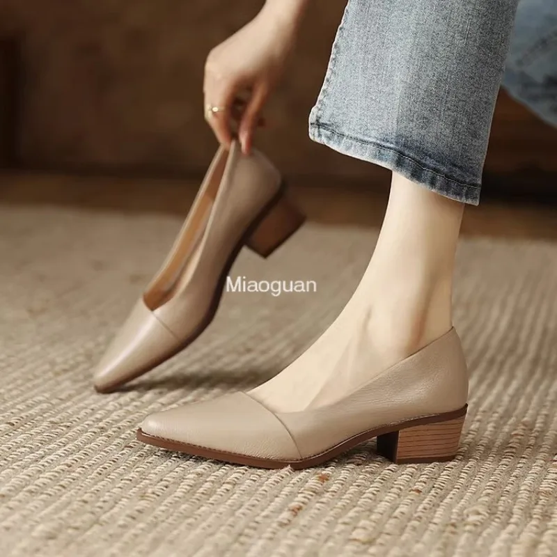 New Retro Leather Heels Shoes Pointed Toe Slip-on Loafers Mid Heeled Fashion Work Shoes Women\'s Spring Summer Casual Pumps Beige