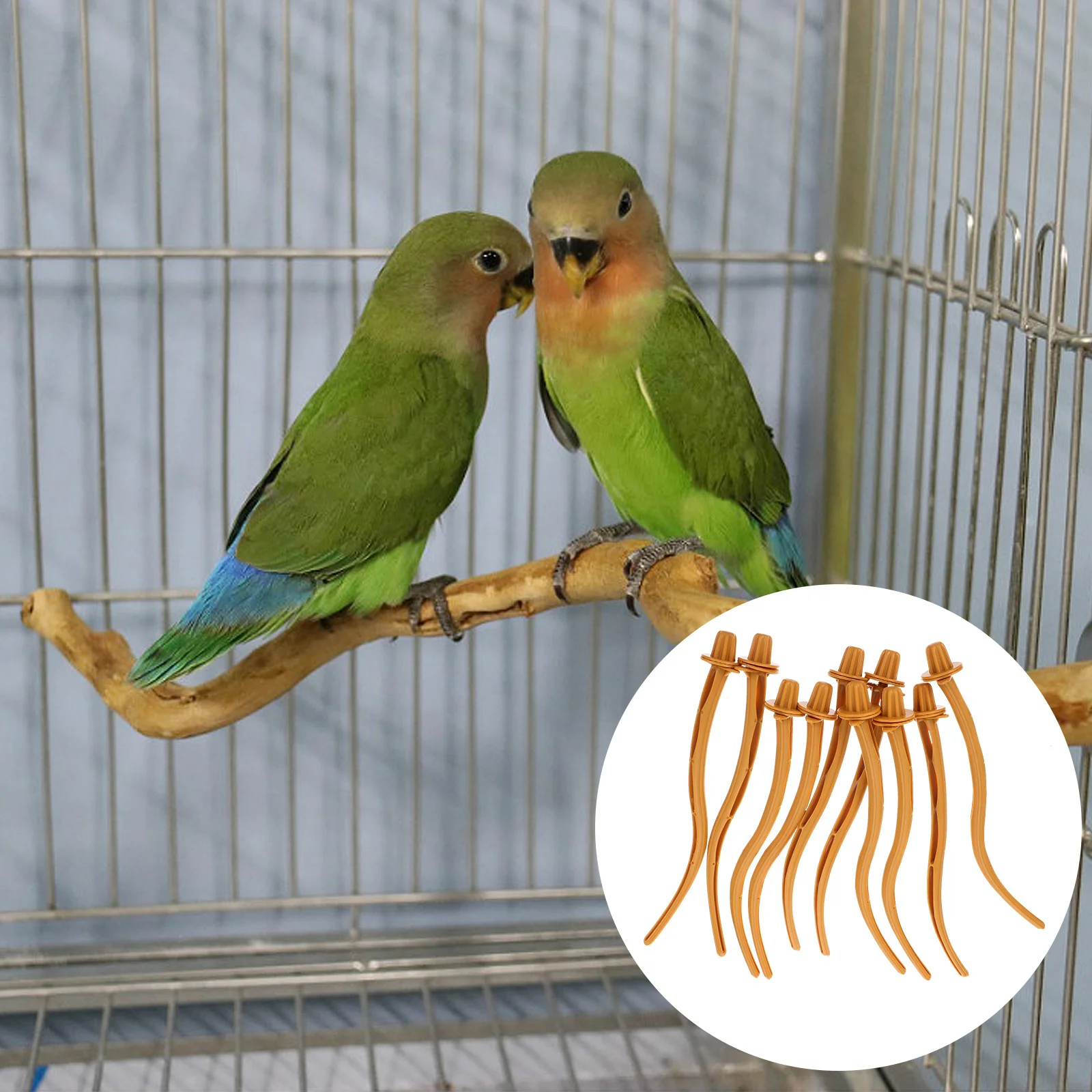 

10Pcs Bird Stand Poles Premium Plastic Parakeet Perches Indoor Cage Rack Climbing Rest Perching Parrot Pole Bird Perches