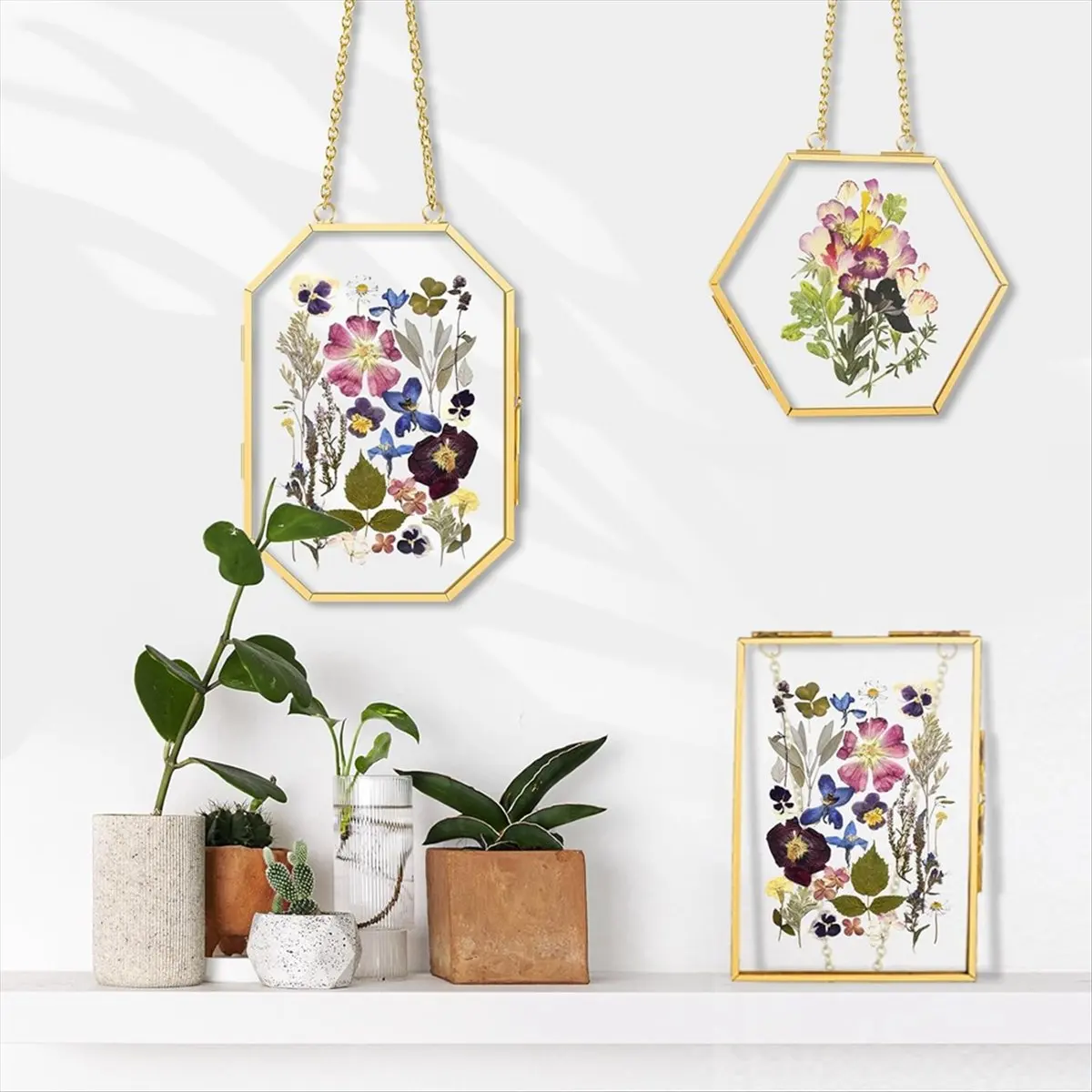 3 Pcs Pressed Flower Frames with Tweezers, Wall Hanging Double Glass Frames with Metal Chain for Pressed Dried Flowers