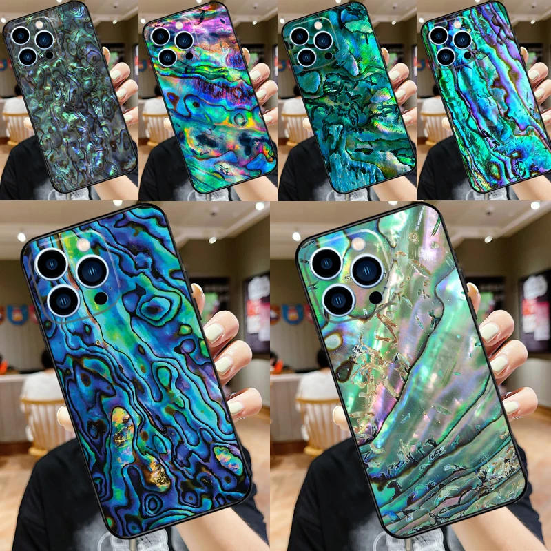 Abalone Shell For H… - image