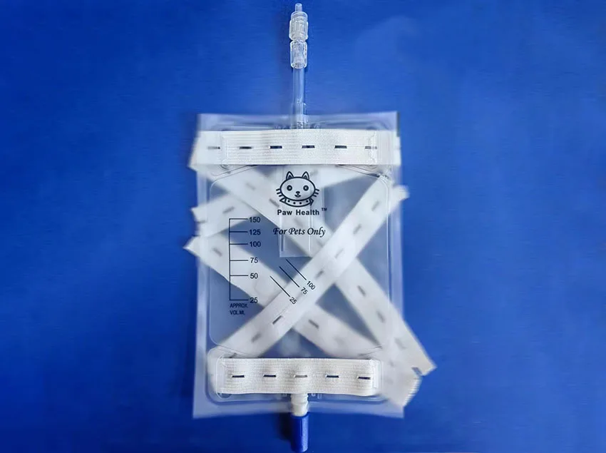 Veterinary Disposable Butterfly Type IV Cannula Catheter With Wings Veterinary Instruments