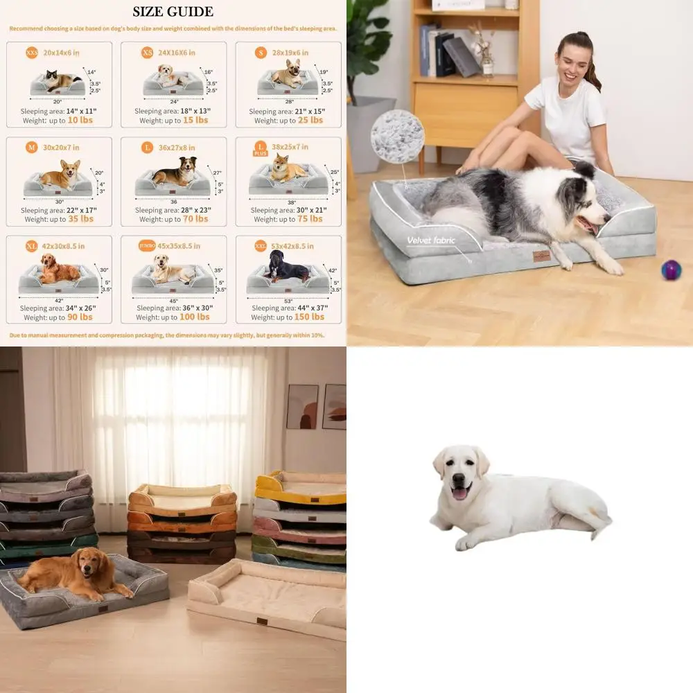 Large Orthopedic Do…