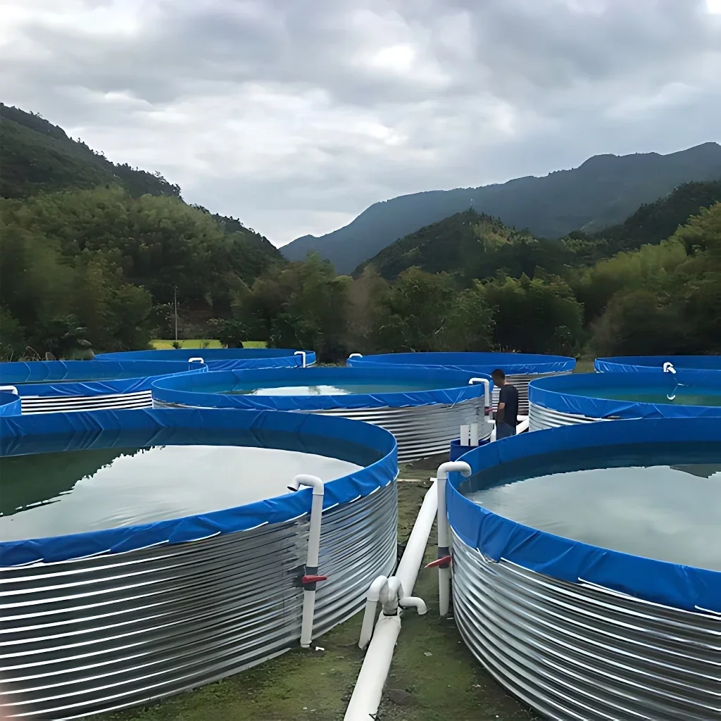 

Tilapia Bac Pisciculture Aquaculture Tank Tarpaulin Fish Pond Farming Tank Galvanized Fish Tank