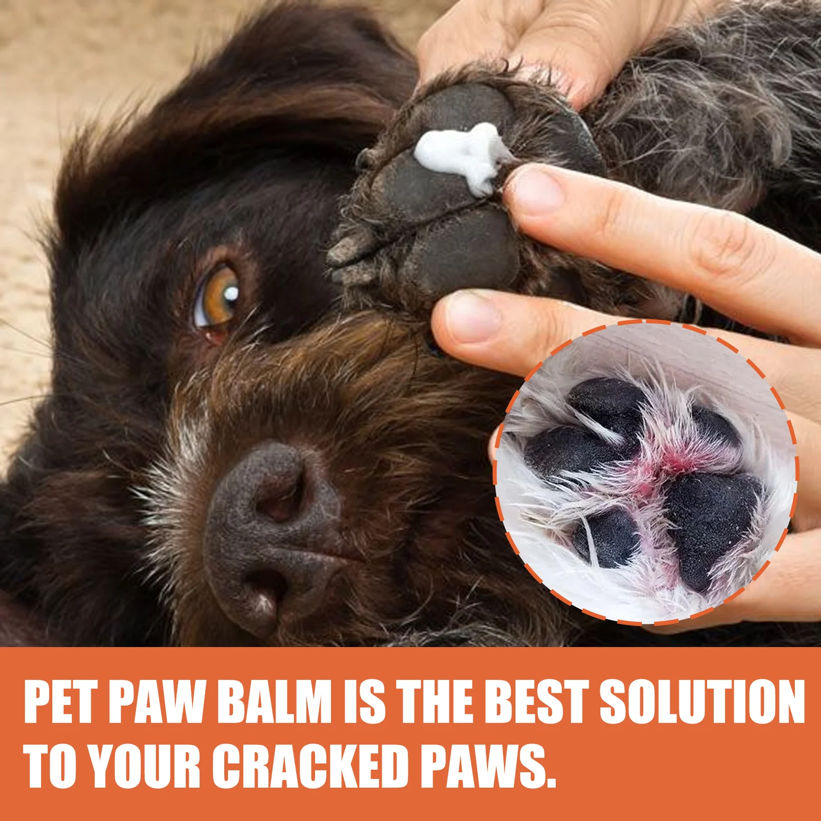 Pet Paw Cream 30g Cat and Dog Paw Protection Cream Moisturizing and Nourishing Natural Ingredients Suitable for Chapped Paws