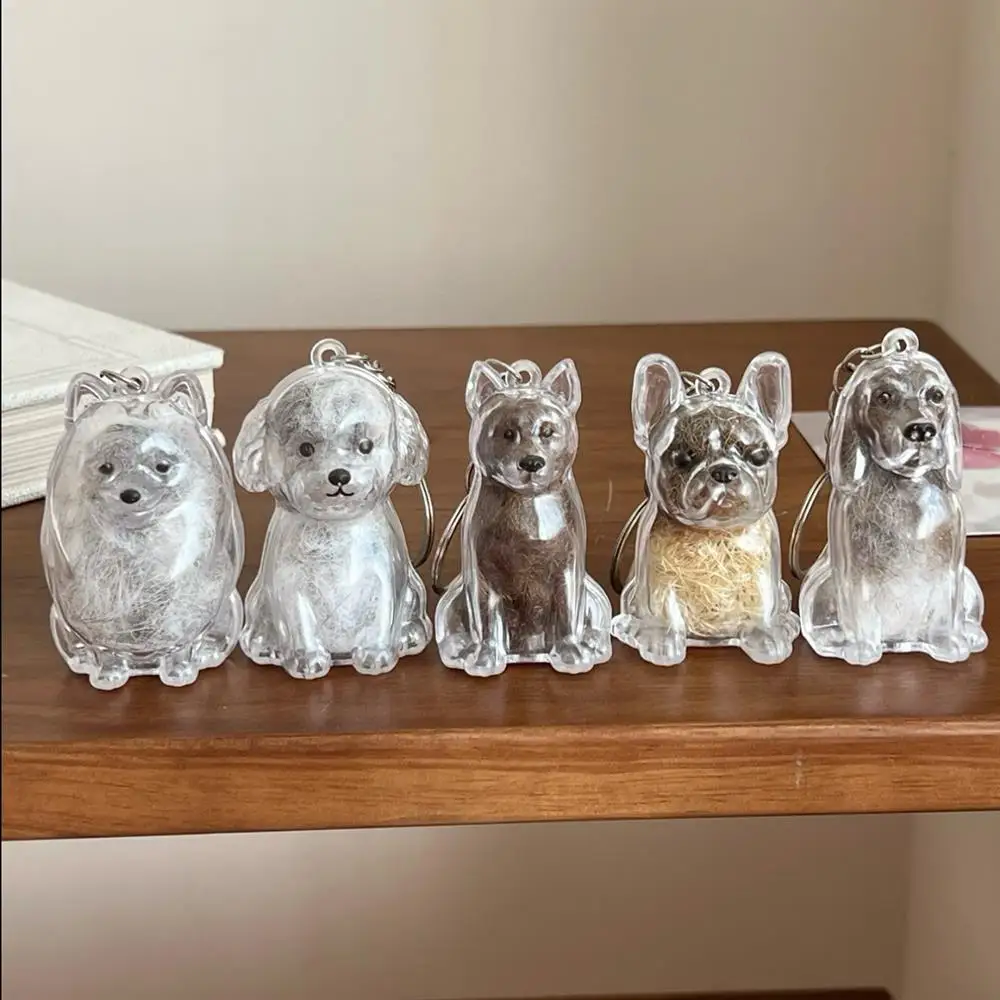 

Transparent Dog Hair Storage Box Cute Keychain Bag Pendant Couple Car Key Chains Jewelry Souvenir Collection Decor Accessories