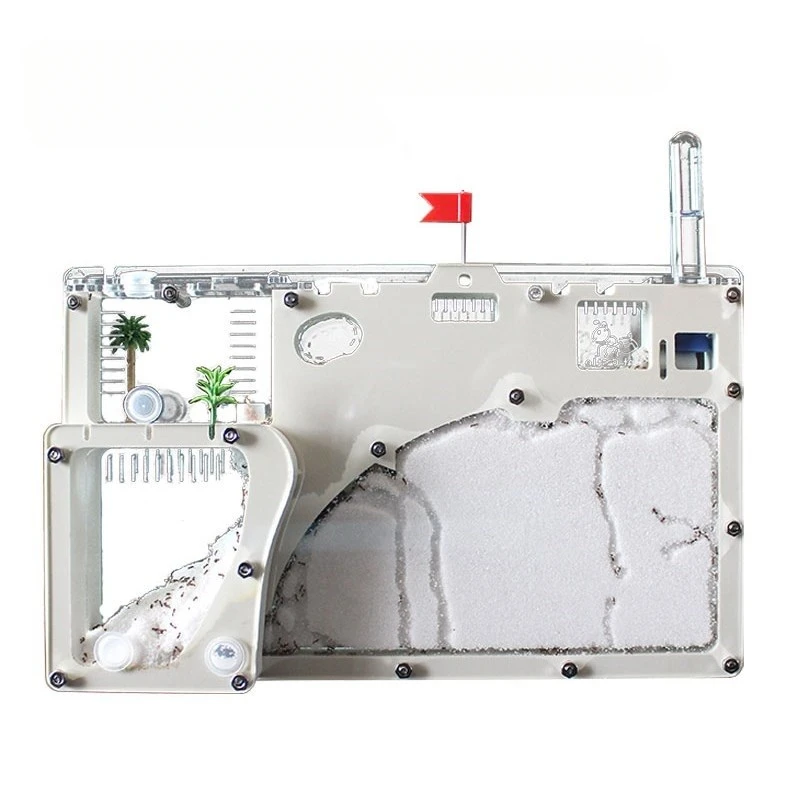 Pet Ant Sand Castle…