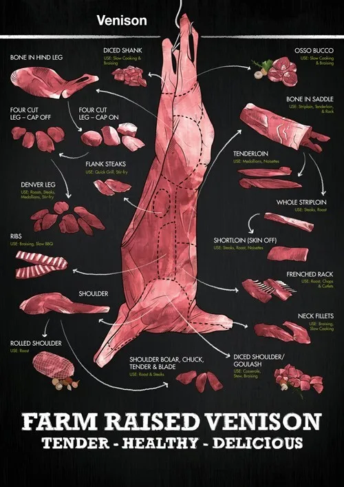 Venison Deer Chicken Pork Butchers Lamb Sheep Cow Cuts Made Easy Poster Print Butchers Food Print Posters  Wall Art Home Decor