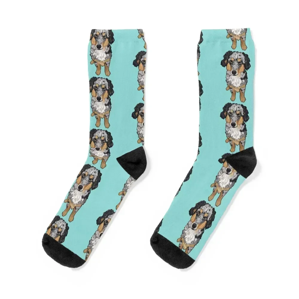 Blue Merle Aussie Portrait Full body / Blue Merle Australian Shepherd dog Socks moving stockings hiphop Socks Male Women's