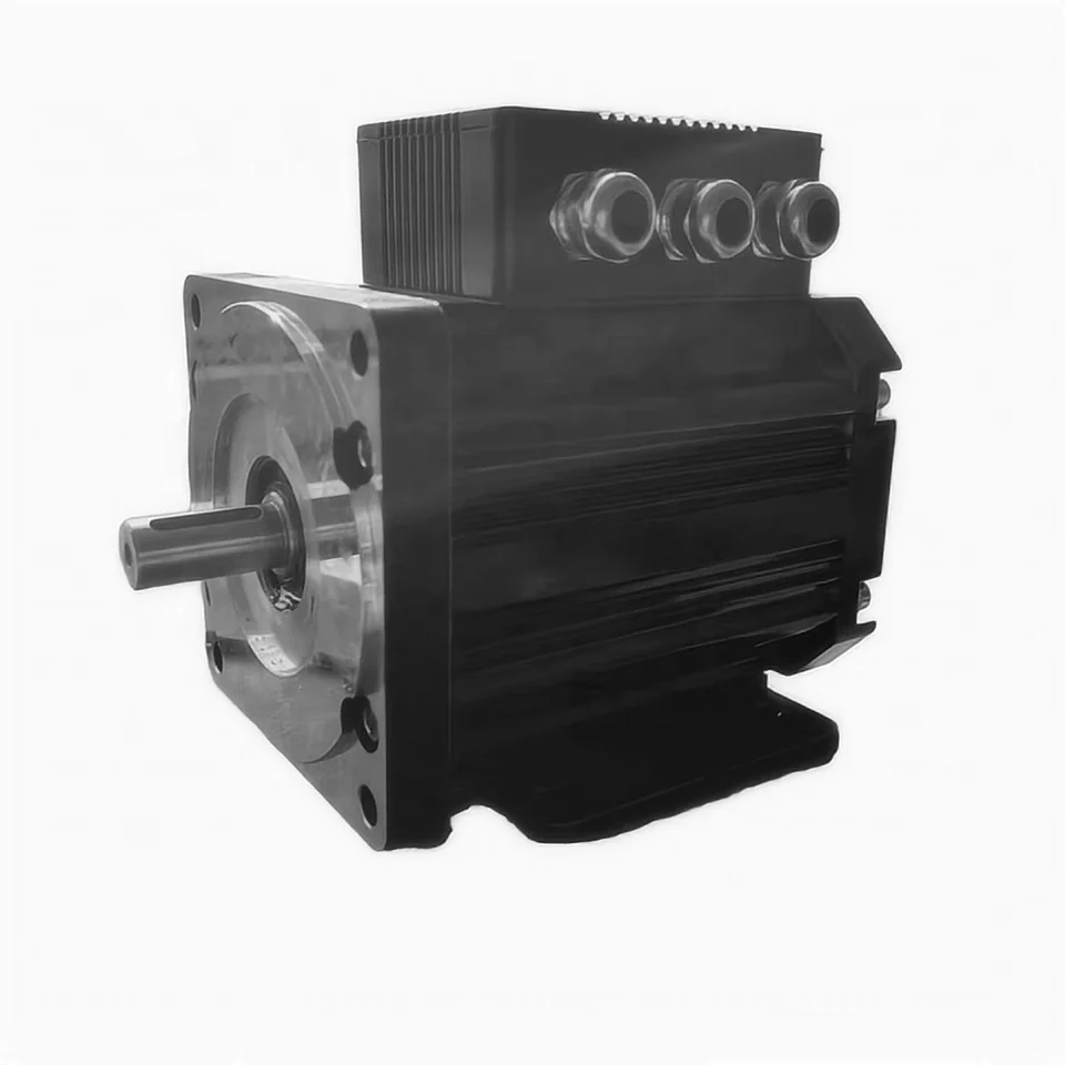 1.5KW 24VDC Permanent Magnet Foot Mount Brushless DC Motor Continuous Use Hydraulic Pumps 1500w Rated Power 3000w Max