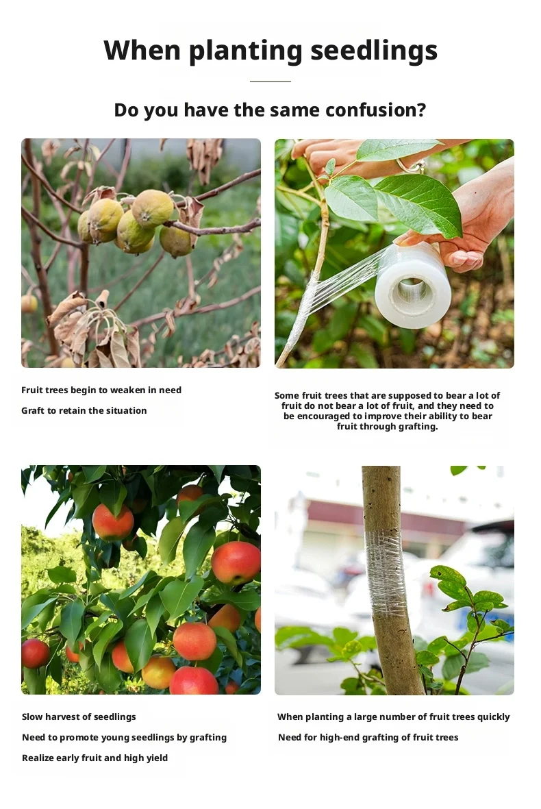 200 m PE-Pfropfbandfolie, selbstklebend, für Obstbaum, Kinderzimmer, Pflanzen, Sämlinge, Rebe, Floristik, Tomaten-Pfropfzubehör, dehnbar – Detail 5