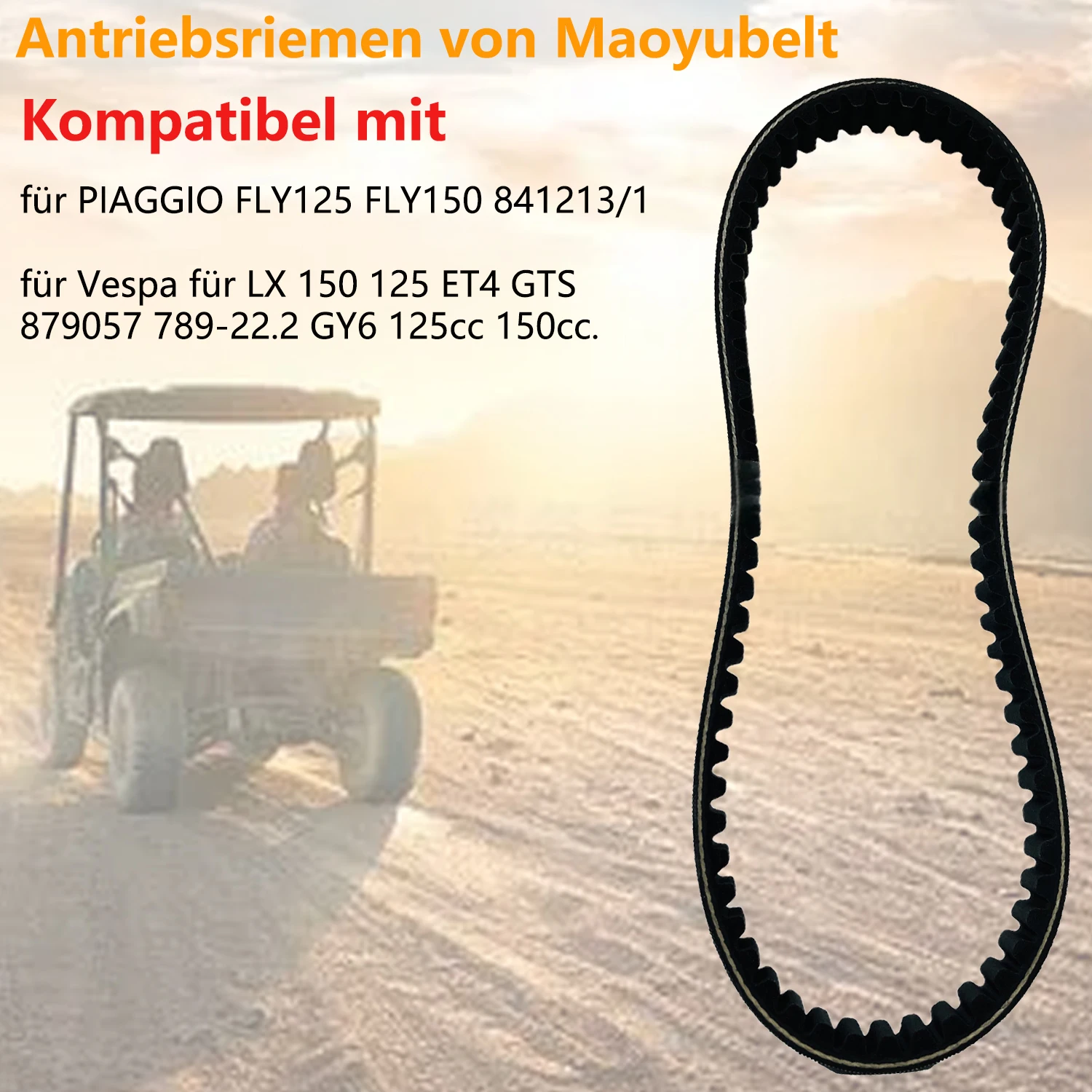 

Drive Belt for Piaggio FLY125 FLY150 841213/1 for Vespa for LX 150 125 ET4 GTS 879057 789-22.2 GY6 125cc 150cc