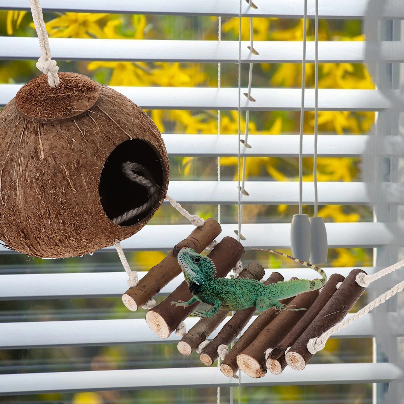 

Hermit Reptile Hideout With Ladder Resin Terrarium Decor Habitat Shelter For Small Reptiles Pet Accessories