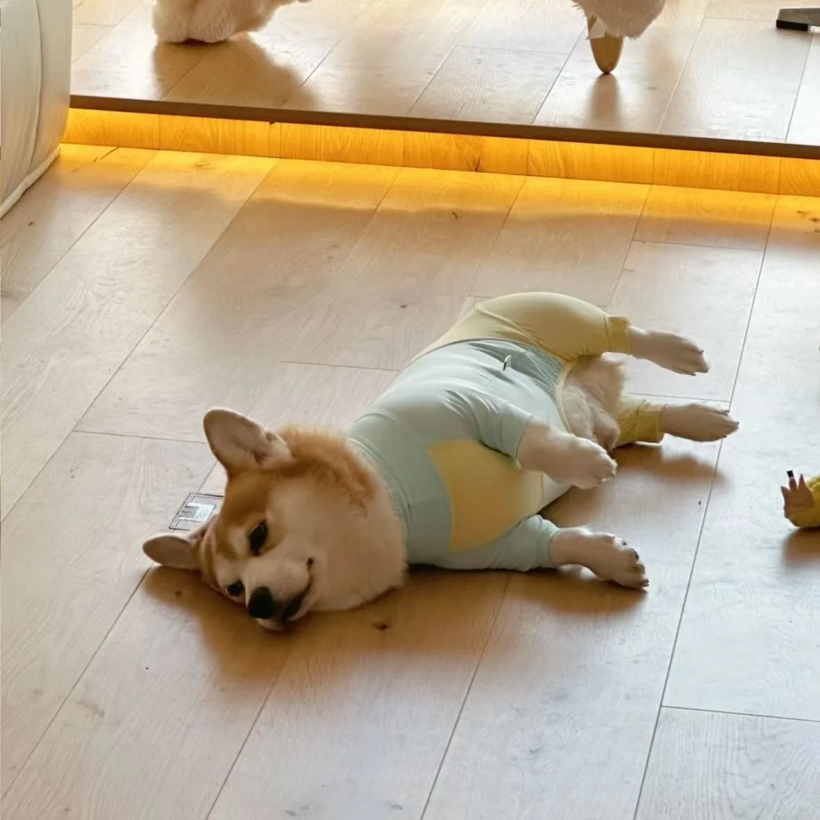 

Corgi Sunscreen Four Legged Clothes Summer Pet Anti-Shedding Vest Shiba Inu Breathable Two Patchwork Color Bodysuit