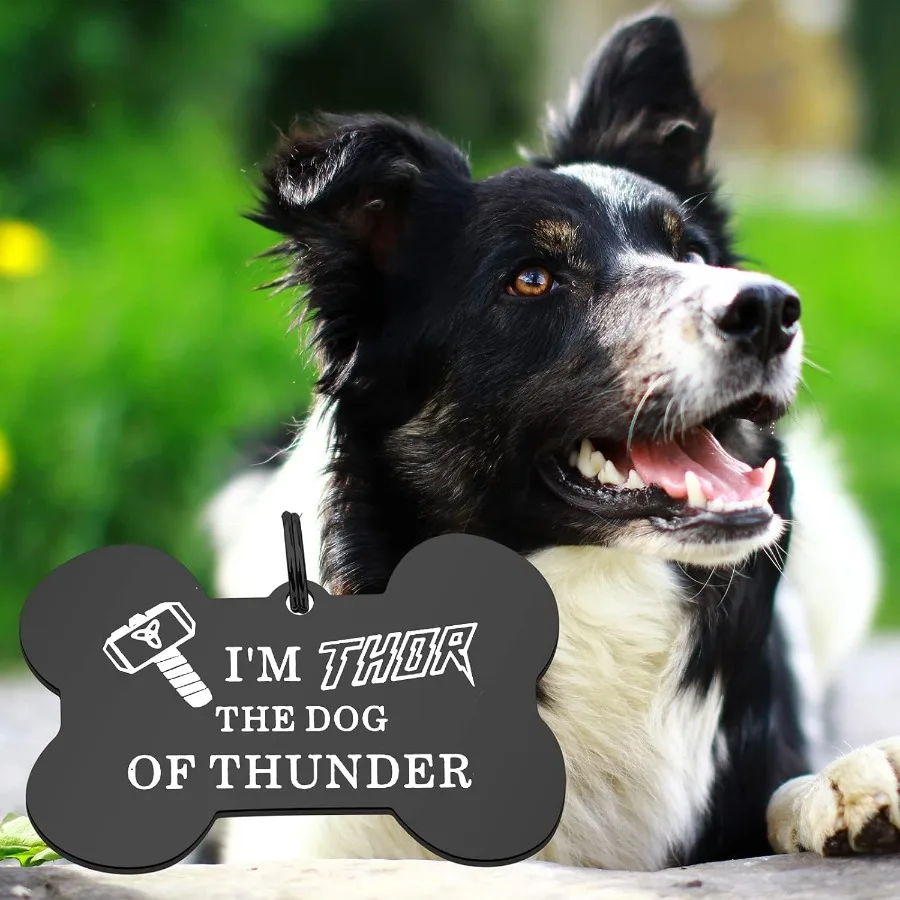 علامات طوق الكلب، هدية البطل، هدية لمحبي الحيوانات الأليفة، علامات مضحكة للكلاب الرعد للحيوانات الأليفة #4