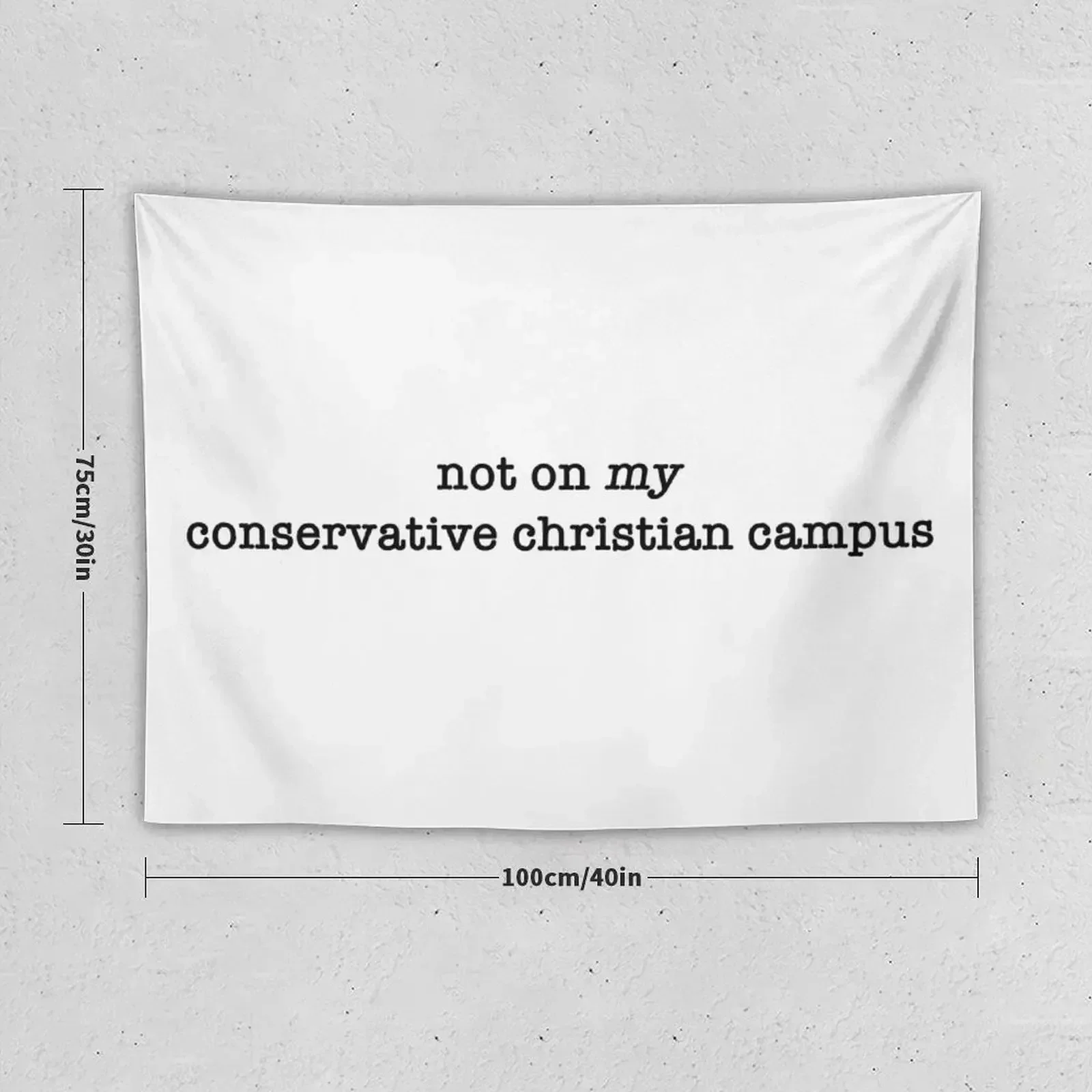 not on *my* conservative christian campus Tapestry Decorative Paintings Bedroom Decorations Tapestry