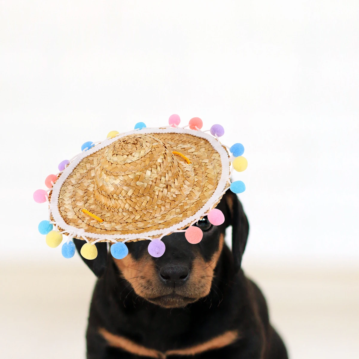 

Pet Hat Sunlight Block Straw Cap Supplies Puppy Photo Props for Home Decoration
