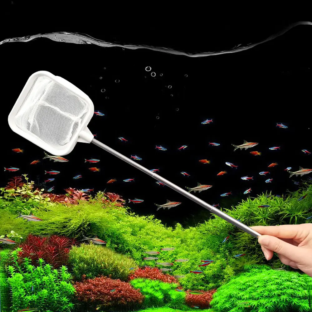 

AquariumFish Fishing Net Stainless Steel Retractable Rod Small Shrimp Fishing Nets Fish Accessories for Fish Tank Cleaner Tool