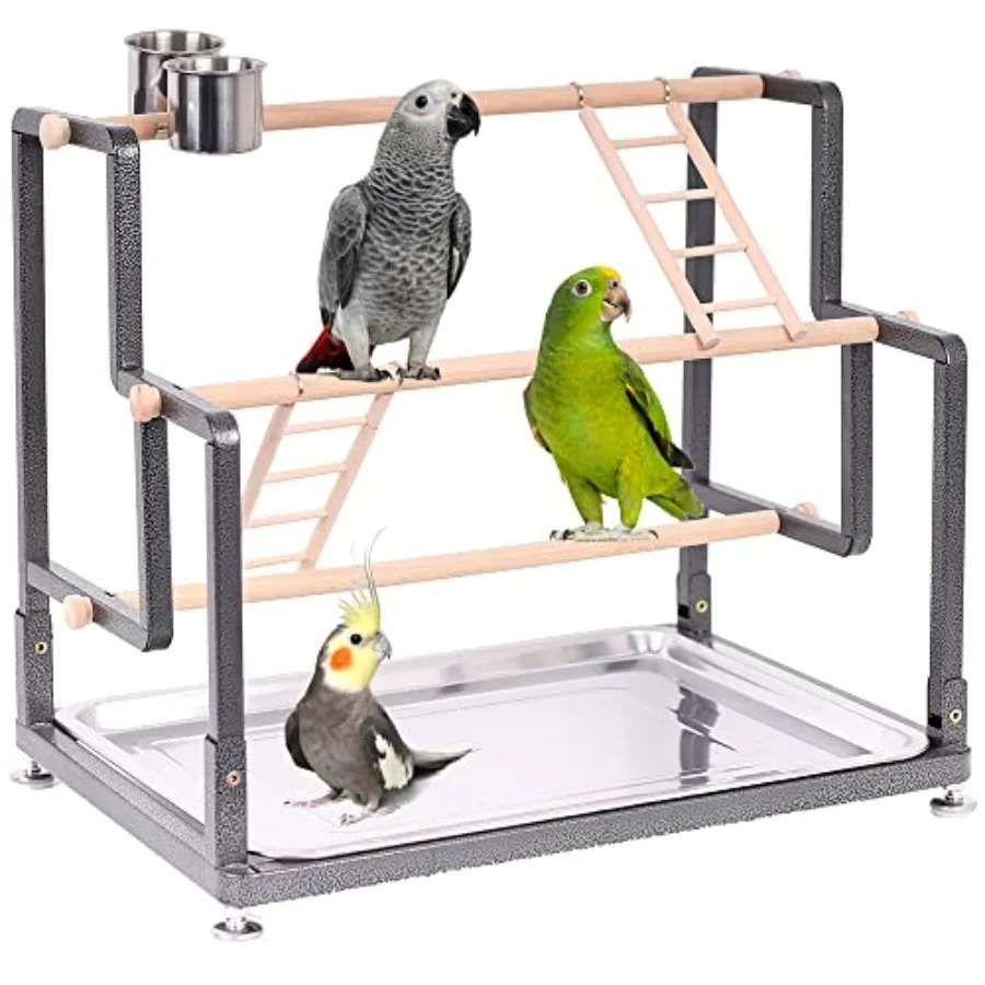 

Bird Playground Playstand for Small to Large Birds with Collapsible Metal Frame Heavy Duty Quick-Install No Tool Request 4 Stan