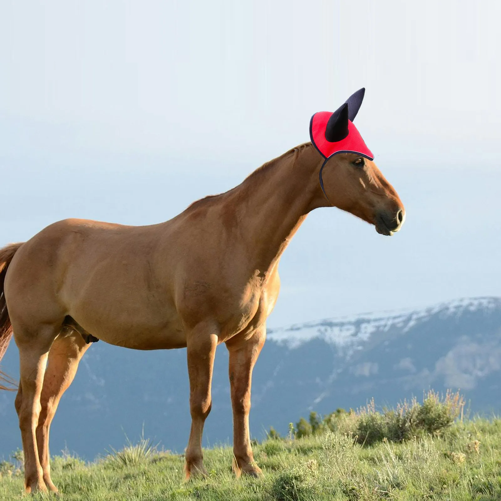 تنفس الأذن بونيه الخيول يطير قناع الحصان الأذن قناع في الهواء الطلق واقية والعتاد شبكة غطاء من القماش