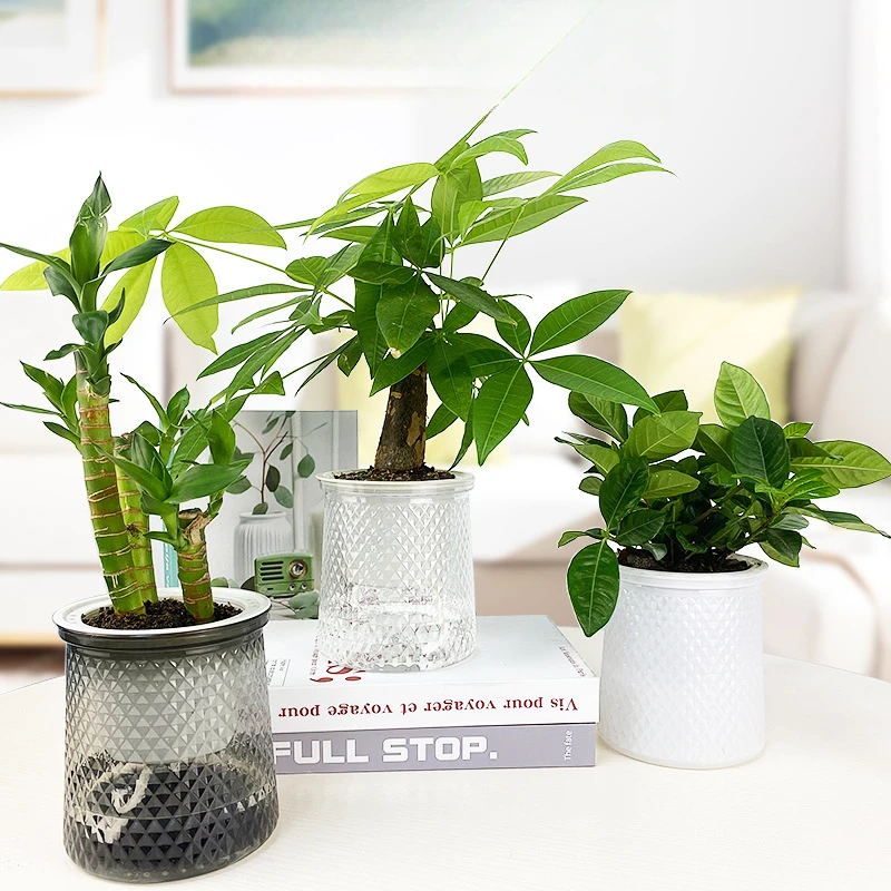 Luxury Transparent Resin Hydroponic Green Plant Vase Self-Watering Thickened Glass Imitation Pot for Lazy Succulent Plant Care